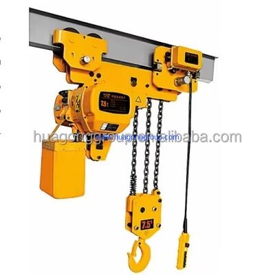 Max Lifting Load 20t New100 Percent Electric Chain Hoist 1 Ton Crane Hoist 5 Ton Swing Stage Construction Chain Hoist Hook