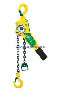 20t Max Lifting Load Electric Chain Hoist Custom Voltage Industrial Crane 500kg 1000kg 2ton 5ton 7ton 10ton Capacity