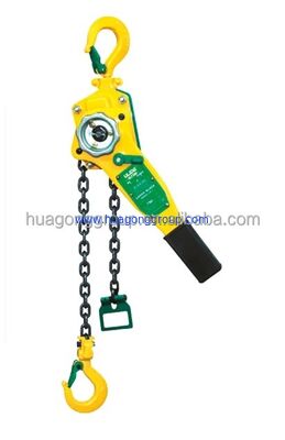Max Lifting Load 20t New100 Percent Electric Chain Hoist 1 Ton Crane Hoist 5 Ton Swing Stage Construction Chain Hoist Hook